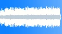 Winner's PleasureStock Music