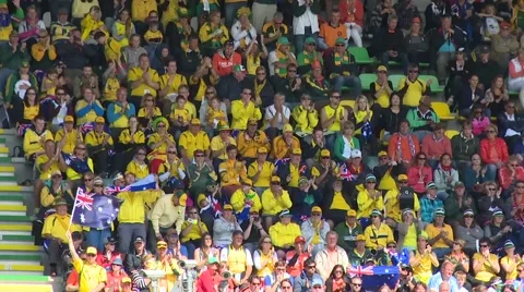 Winning celebrations of Australia  Stock Footage 47862913