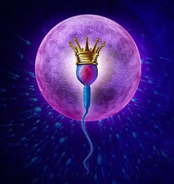 Winning sperm Stock Illustration