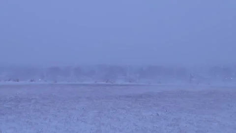 Winnipeg blizzard 库存影片 298265533