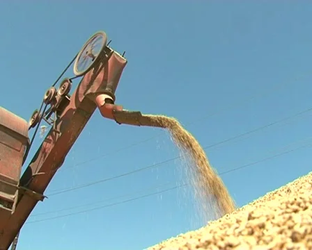 Winnow grain Video stock 511507