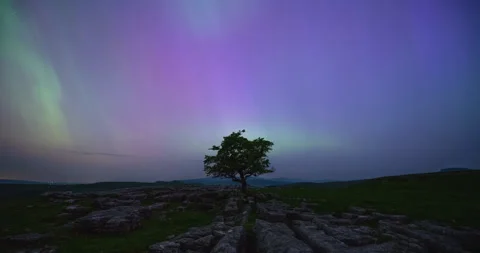 Winskill aurora timelapse Stock Footage 276198705