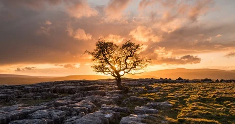 Winskill fire Stock Footage 111985479