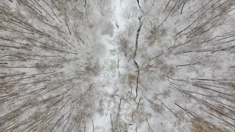 Wintar forest in Russia Stock Footage 70319094