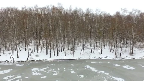 Wintar forest in Russia Stock Footage 70319407