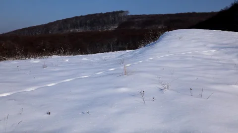 Winter 0091 Panoramic View, Landscape in Winter Season, Hills in Snow, Village Stock Footage 1010065