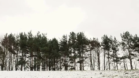 Winter 01 Stock Footage 119416800