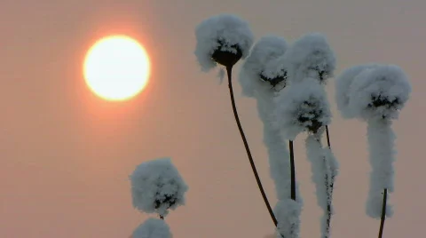 Winter 1  Video stock 586261