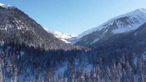 Winter 1 Stock Footage 295174880