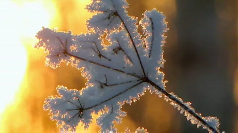 Winter 10  Stock-Footage 586307