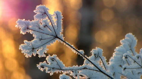 Winter 11  Video stock 586377