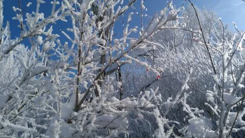 Winter 11 Stock Photos