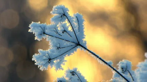 Winter 12  Video stock 587134