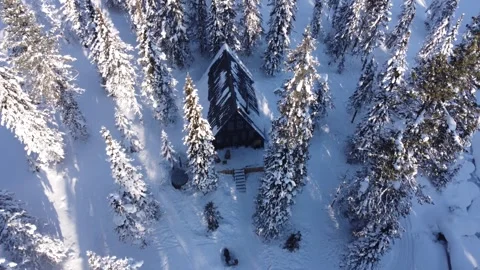 Winter 14 Stock Footage 295175437