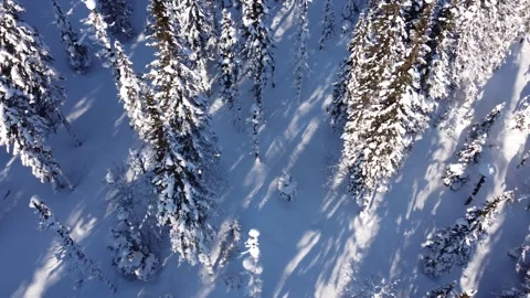 Winter 15 Stock Footage 295175443