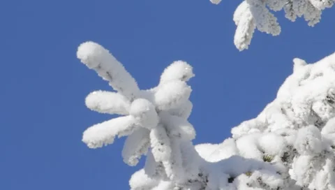 Winter 1920x1080 0014 Stock Footage 1002681