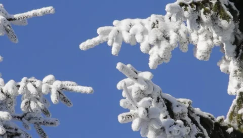 Winter 1920x1080 0014 Stock Footage 1002682