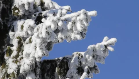 Winter 1920x1080 0014 Stock Footage 1002684