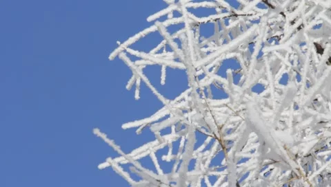 Winter 1920x1080 0014 Stock Footage 1002686