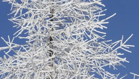 Winter 1920x1080 0014 Stock Footage 1002691