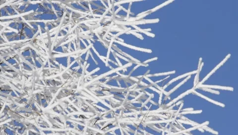 Winter 1920x1080 0014 Stock Footage 1002692