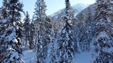 Winter 2 Stock Footage 295176718