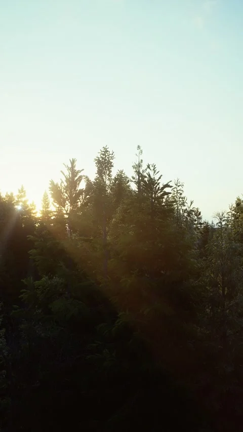 Winter -2 Stock Footage 318184638