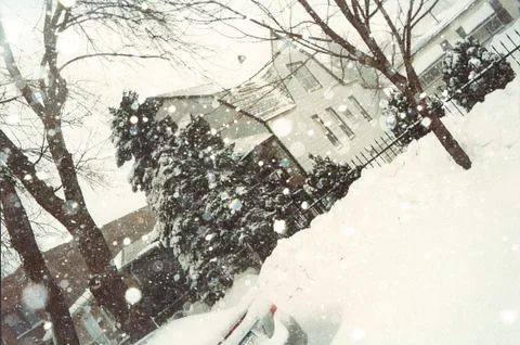 Winter of 2011 Stock Photos