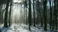 Winter 20120205 115338 HD Footage