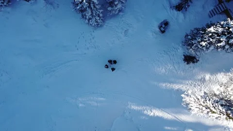 Winter 3 Stock Footage 295174891