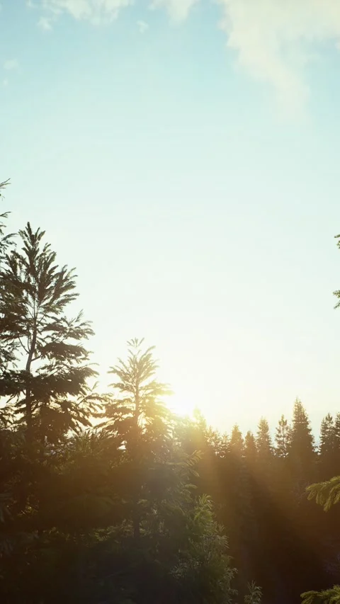 Winter -4 Stock Footage 318184639