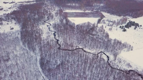 Winter 4k aerial with snow covered forest and winding river. Stock Footage 101202290