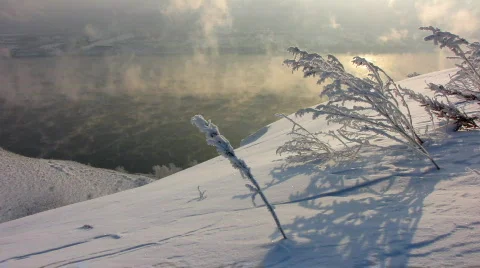 Winter 5  Stock Footage 586786