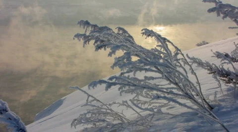 Winter 6  Stock Footage 586820