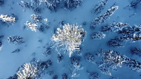 Winter 6 Stock Footage 295175058