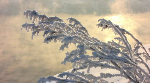 Winter 7 1  Stock Footage 587094