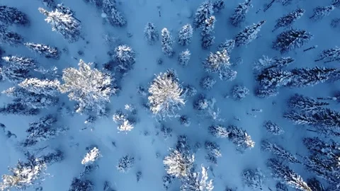 Winter 7 Stock Footage 295175209