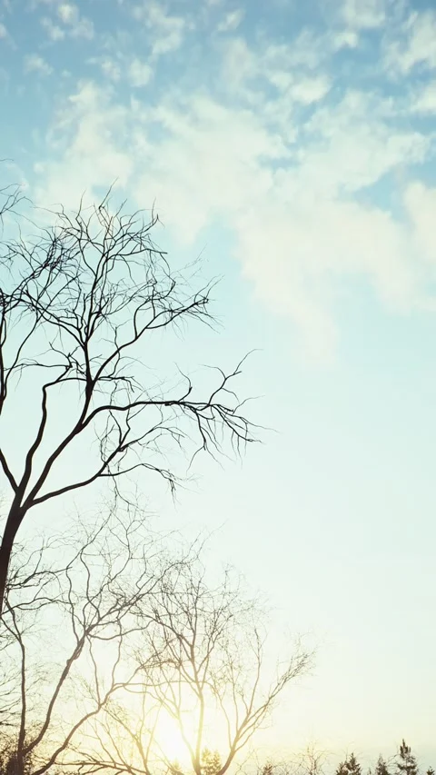 Winter -7 Stock Footage 318184665