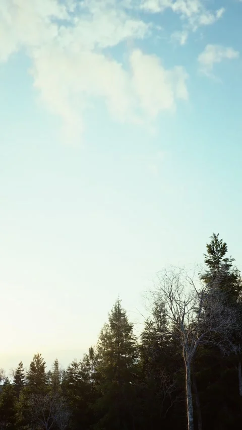 Winter -8 Stock Footage 318184666