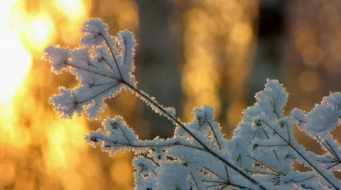 Winter 9  Stock Footage 587133