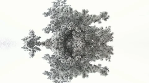 Winter Abstract Stock Footage 123014586