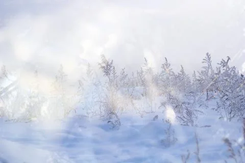 Winter abstract shiny background Stock Photos