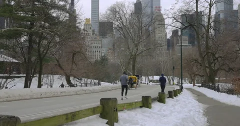 Winter Activity in Central Park Vídeo Stock 330973114