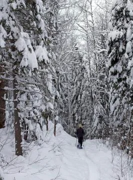 Winter activity 스톡 사진