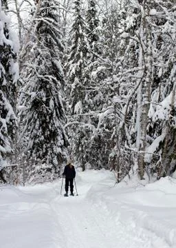 Winter activity Stock Photos