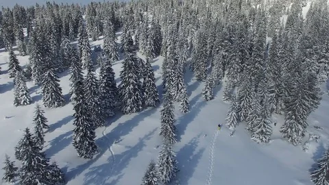 Winter adventure Video stock 71708185