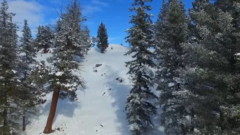 Winter aerial close to trees with climax Stock Footage 87437667