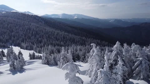 Winter Aerial Drone View - Snow-Covered Forest and Mountain Range Stock Footage 325188788