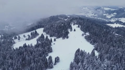 Winter aerial hyperlapse above dark coniferous forest and snowy hills under 스톡 동영상 322648992