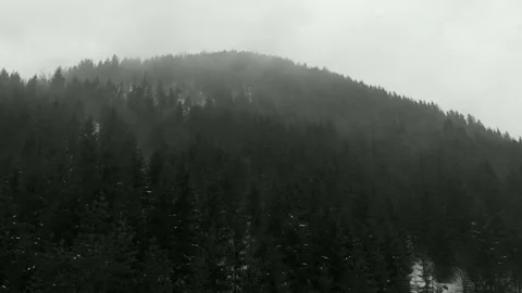 Winter aerial lifting down in mountain dark forest covered in snow 4K nature Stock Footage 221790679